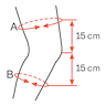 50K324=R-1-US_05.jpg